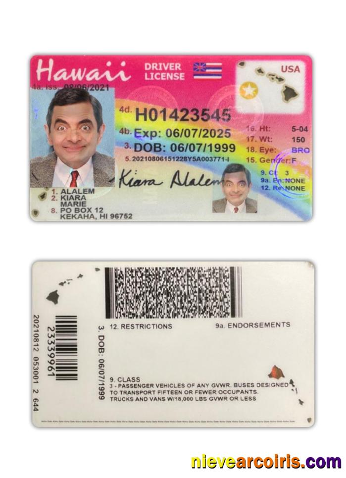 USA Hawaii driving license 2021-present